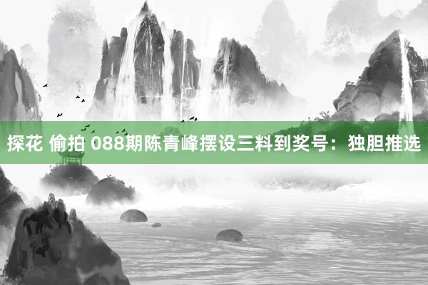 探花 偷拍 088期陈青峰摆设三料到奖号：独胆推选