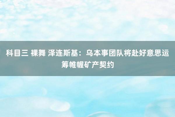 科目三 裸舞 泽连斯基：乌本事团队将赴好意思运筹帷幄矿产契约