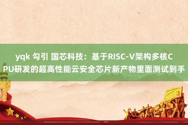 yqk 勾引 国芯科技：基于RISC-V架构多核CPU研发的超高性能云安全芯片新产物里面测试到手