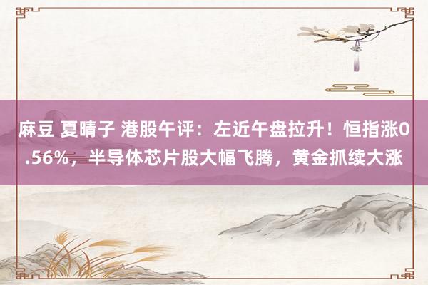 麻豆 夏晴子 港股午评：左近午盘拉升！恒指涨0.56%，半导体芯片股大幅飞腾，黄金抓续大涨