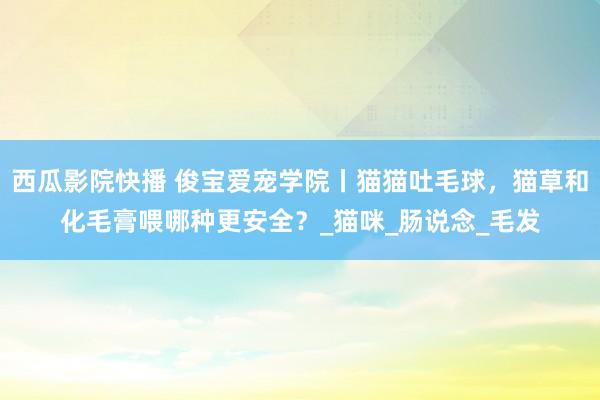 西瓜影院快播 俊宝爱宠学院丨猫猫吐毛球，猫草和化毛膏喂哪种更安全？_猫咪_肠说念_毛发