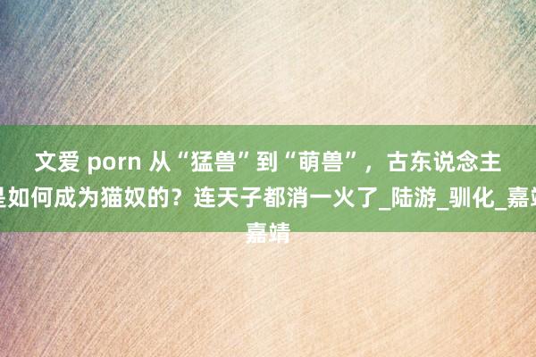 文爱 porn 从“猛兽”到“萌兽”，古东说念主是如何成为猫奴的？连天子都消一火了_陆游_驯化_嘉靖