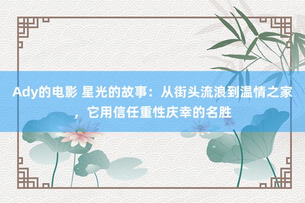 Ady的电影 星光的故事：从街头流浪到温情之家，它用信任重性庆幸的名胜