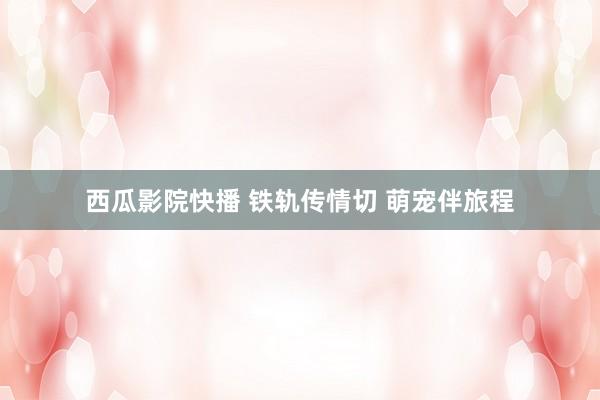 西瓜影院快播 铁轨传情切 萌宠伴旅程