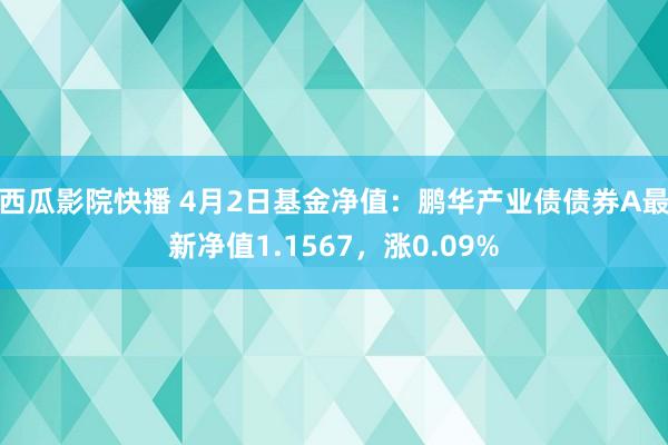 西瓜影院快播 4月2日基金净值：鹏华产业债债券A最新净值1.1567，涨0.09%