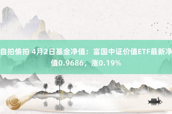 自拍偷拍 4月2日基金净值：富国中证价值ETF最新净值0.9686，涨0.19%