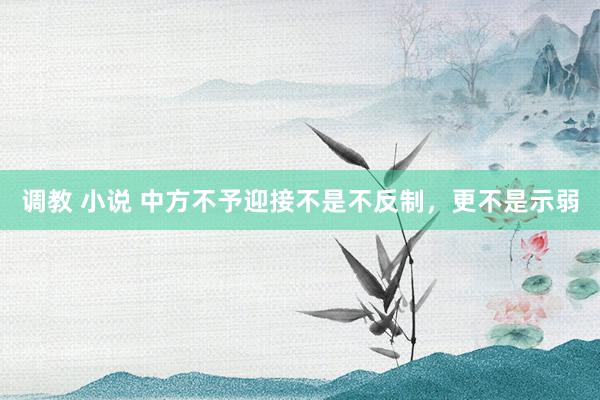 调教 小说 中方不予迎接不是不反制，更不是示弱