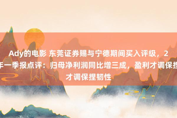 Ady的电影 东莞证券赐与宁德期间买入评级，2025年一季报点评：归母净利润同比增三成，盈利才调保捏韧性