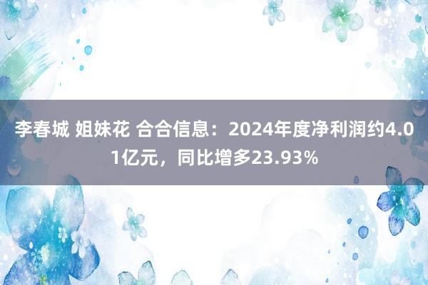 李春城 姐妹花 合合信息：2024年度净利润约4.01亿元，同比增多23.93%