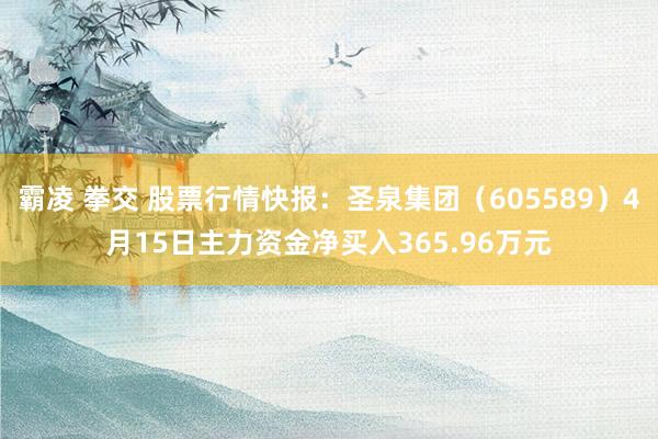 霸凌 拳交 股票行情快报：圣泉集团（605589）4月15日主力资金净买入365.96万元