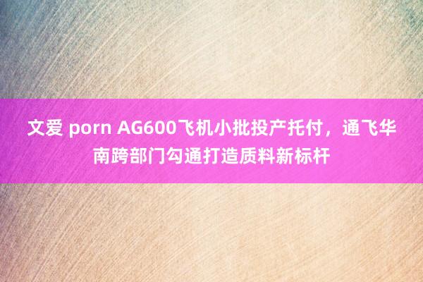 文爱 porn AG600飞机小批投产托付，通飞华南跨部门勾通打造质料新标杆