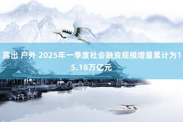 露出 户外 2025年一季度社会融资规模增量累计为15.18万亿元