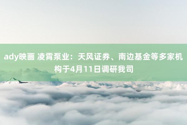 ady映画 凌霄泵业：天风证券、南边基金等多家机构于4月11日调研我司