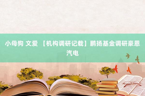 小母狗 文爱 【机构调研记载】鹏扬基金调研豪恩汽电