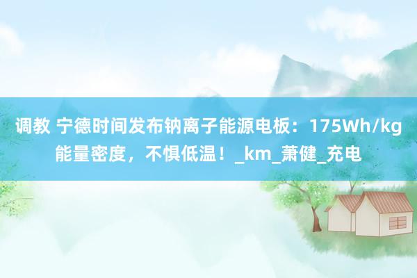 调教 宁德时间发布钠离子能源电板：175Wh/kg能量密度，不惧低温！_km_萧健_充电