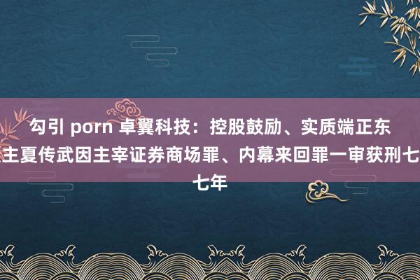 勾引 porn 卓翼科技：控股鼓励、实质端正东谈主夏传武因主宰证券商场罪、内幕来回罪一审获刑七年