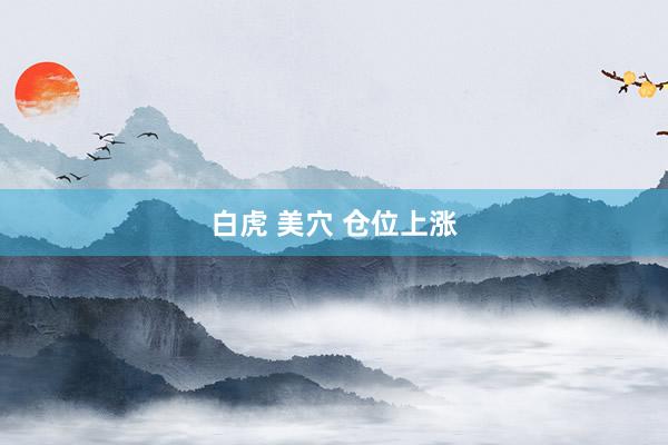 白虎 美穴 仓位上涨