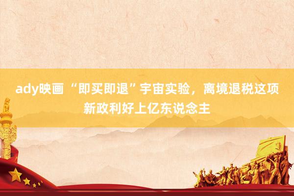 ady映画 “即买即退”宇宙实验，离境退税这项新政利好上亿东说念主