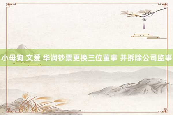 小母狗 文爱 华润钞票更换三位董事 并拆除公司监事